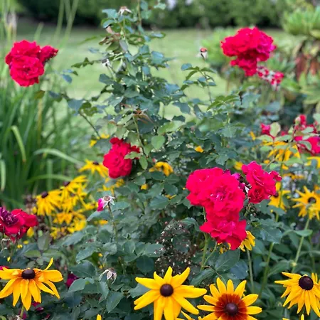 Affittacamere Centrum Fiszer