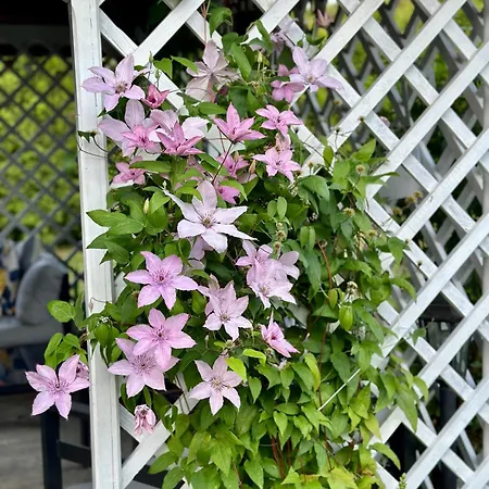 Centrum Fiszer Affittacamere Szklarska Poręba