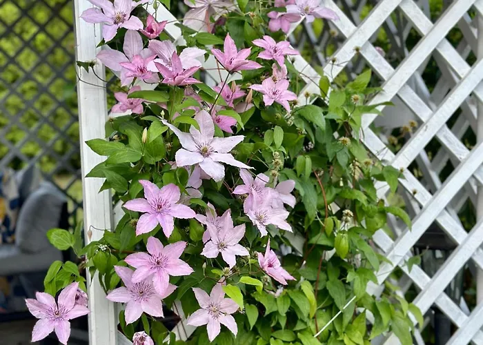 Centrum Fiszer Affittacamere Szklarska Poręba